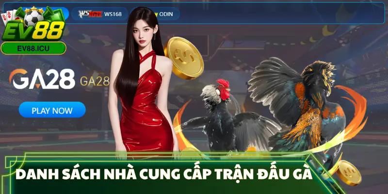 da-ga-ev88-nha-cung-cap