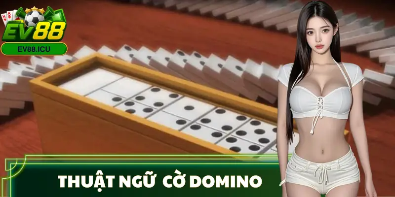 luat-choi-domino-thuat-ngu